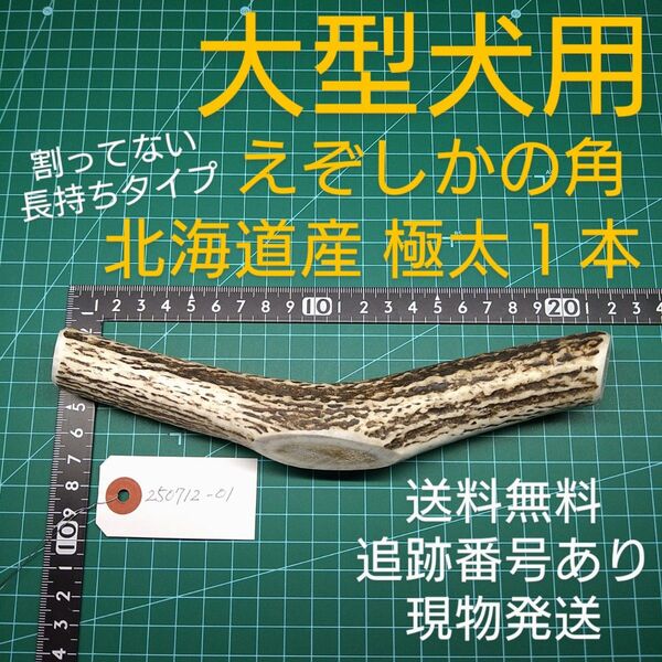 えぞ鹿の角 極太1本 大型犬用 250712-01 愛犬のおもちゃ