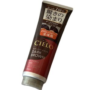hoyu CIELO カラートリートメント ダークブラウン