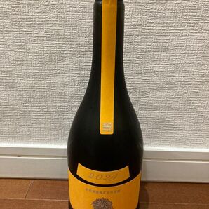 新政 山吹 タンジェリン2024 純米酒