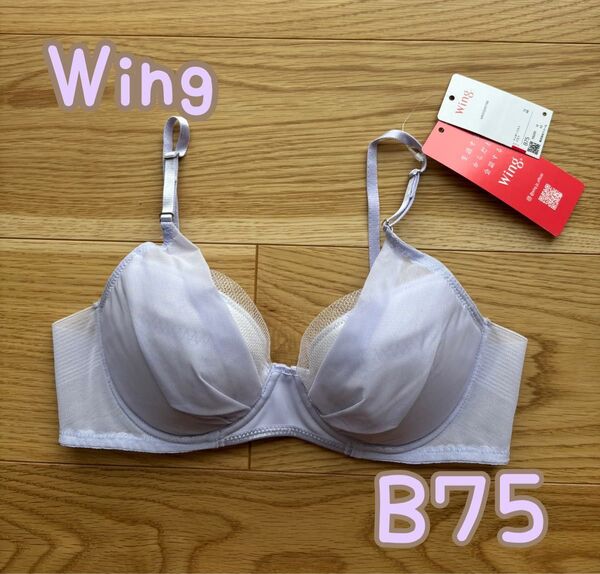 ワコール Wing マッチミーブラ B75 ブラジャー ウイング VI