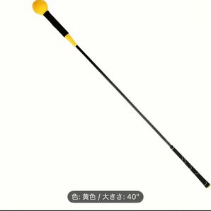 未使用保管品:ゴルフスイングトレーナー