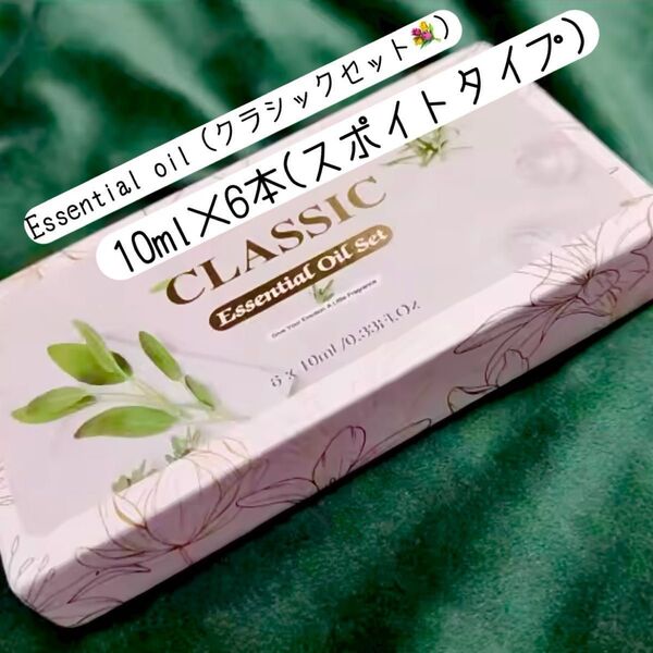 100%天然精油 10ml ×6 アロマオイル 精油 ラベンダー ユーカリ レモングラス セット エッセンシャルオイル