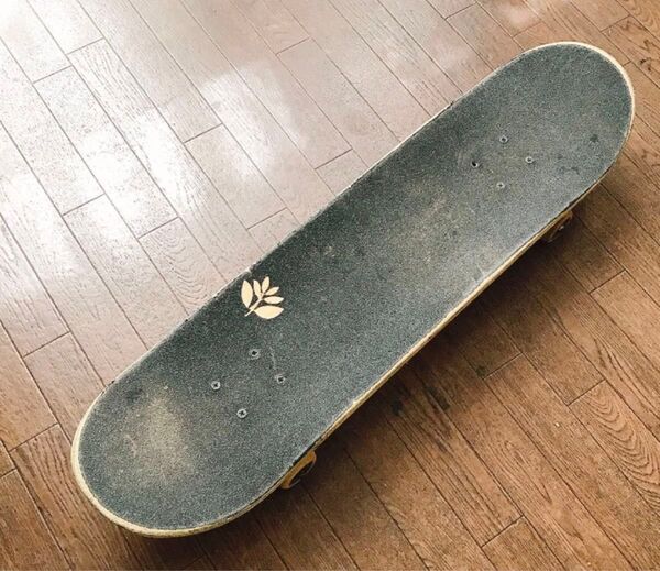 スケートボード コンプリート スノボ VENTURE TRUCKS ベンチャー トラック スケボー