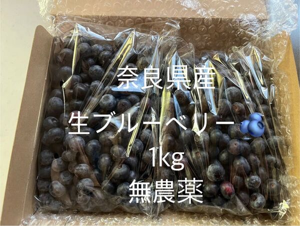生ブルーベリー 1kg 奈良県産 無農薬 ブルーベリー 常温発送