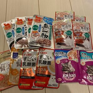 キャットフード ウェット いなば 腎活 カルカン 無一物 国産 セット 成猫 ウェットフード