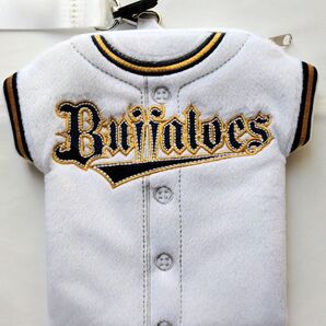 オリックス・バファローズ パスケース