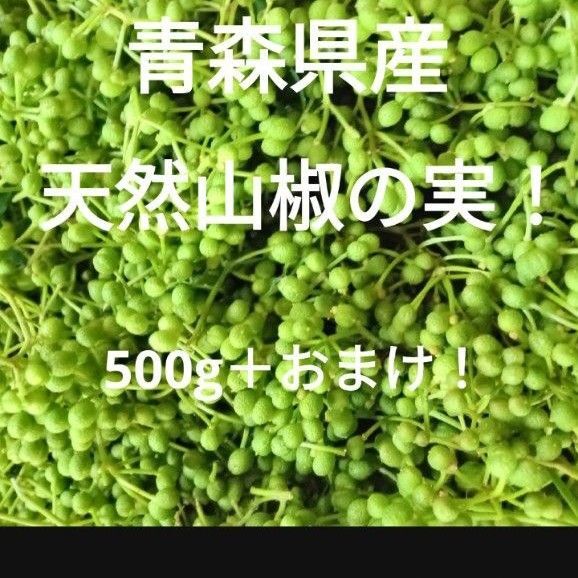 青森県産天然山椒のみ青山椒500g+50g!