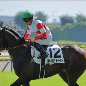 第89回日本ダービー出走馬 ダノンベルーガ号の記念写真