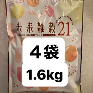 【国産雑穀米】未来雑穀米21マンナン入り4袋 合計1.6kg 産後のダイエットに!とヘアゴム