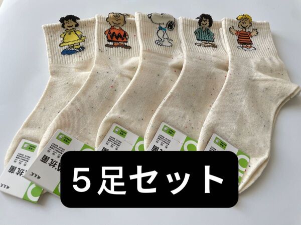 レーディスソックス5足セット 吸汗抗菌 おしゃれ靴下 ファッション