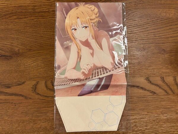 ソードアートオンライン オーディナルスケール Blu-ray特典 アスナブックカバー
