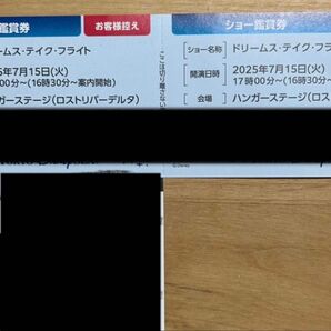 ドリームス・テイク・フライト プレビュー鑑賞券 2025年7月15日 ディズニーシー ワンデーパスポート付き