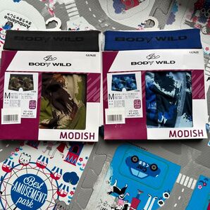 ボディワイルド ボクサーパンツ 新品 M 2枚 BODYWILD GUNZE