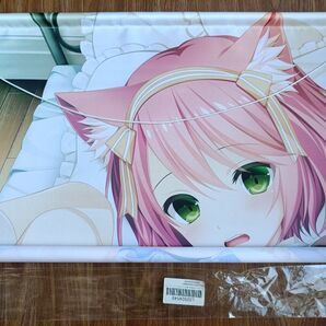 レイルロアの略奪者 メロンブックス特典 フィ 描き下ろしB2タペストリー 3rdEye