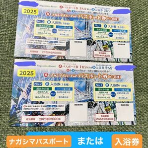 ナガシマスパーランド パスポート券 、入浴券 2枚セット