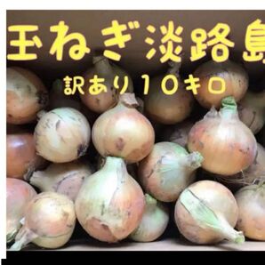 玉ねぎ淡路島 訳あり10キロ