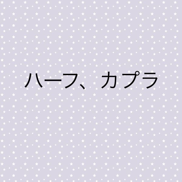カプラ!