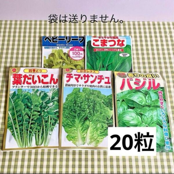 野菜の種 お裾分け 5種類 各20粒+α