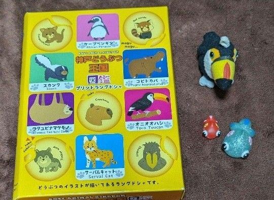 オオハシ 液晶クリーナー付きマスコット 金魚フィギュア 神戸どうぶつ王国図鑑空箱