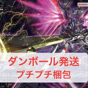 【新品未開封品】HG 1/144 デスティニーガンダムSpecII&ゼウスシルエット