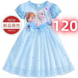 ★ 新品★アナと雪の女王 エルサ アナ プリンセス ワンピース 半袖 ドレス 子供服 女の子 キッズ コスプレ 発表会 120cm
