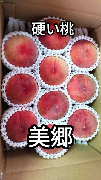 桃(美郷)約2.5kg 10玉前後 硬い桃桃(美郷)約2.5kg 10玉前後 硬い桃