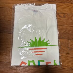 GREEN FLASH FES グリーンフラッシュフェス 福井 2025 芝政