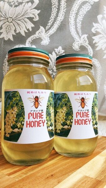 【初めての方限定】北海道無添加生アカシア蜂蜜1kg1本2025年採れたて!