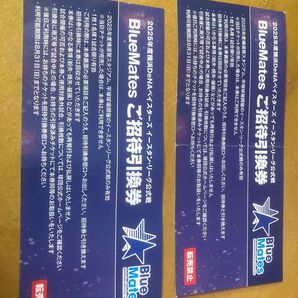 2025年 横浜DeNAベイスターズ イースタンリーグ公式戦 招待引換券 2枚セット