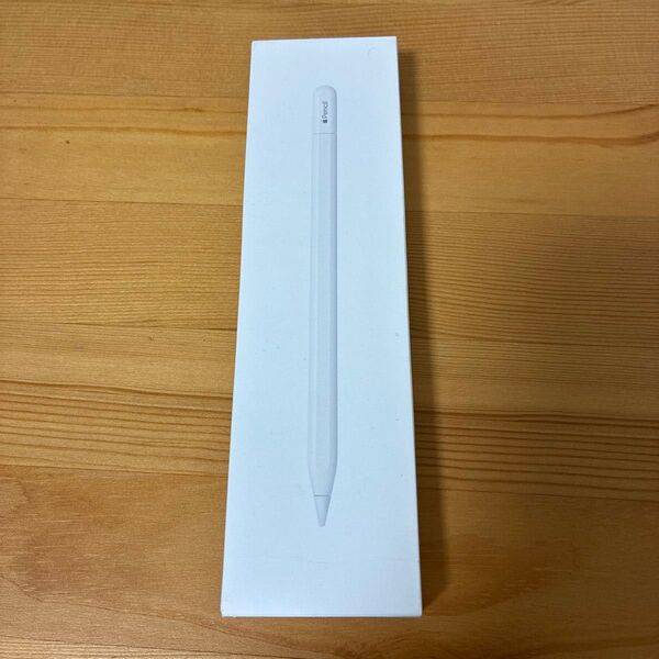 Apple Pencil(USB-C) MUWA3ZA/A