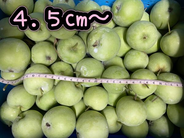 ⑦ 長野県北部 農家直送 摘果リンゴ 箱込み 10kg