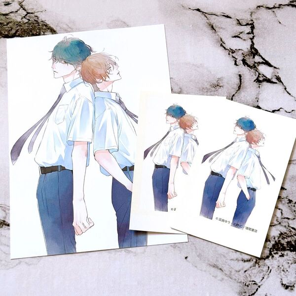 美しい彼 コミック 特典 イラストカードセット 新刊