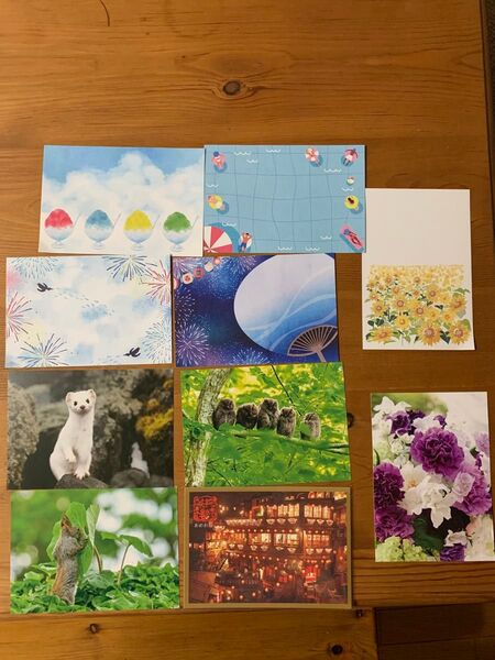 エゾリス エゾオコジョ オオコノハズク 他ポストカード 10枚セット ポストカード 絵はがき 絵葉書