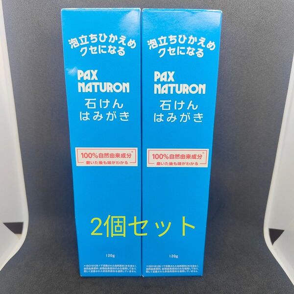 新品 パックスナチュロン 石けんはみがき パックス 歯みがき粉 フッ素フリー ラウリルフリー 2個 120g