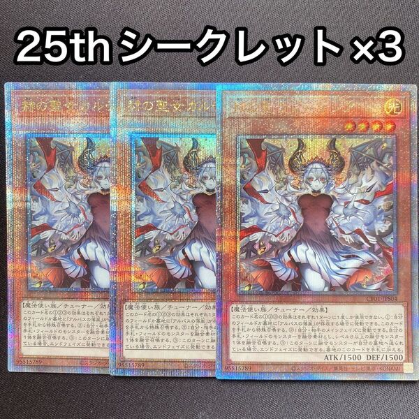 赫の聖女カルテシア イラスト違い 25thシークレット シク 3枚セット 絵違い 白の物語