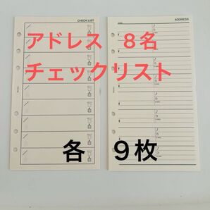 ダヴィンチ 聖書サイズ リフィル チェックリスト9枚 アドレス8名 9枚 システム手帳 レイメイ