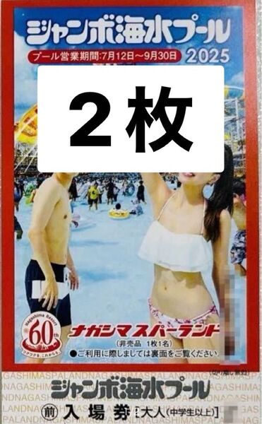 【大人2枚】値下げ不可 長島ジャンボ海水プール ナガシマスパーランド 入場券