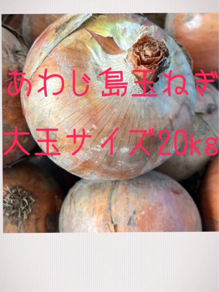 あわじ島玉ねぎ 大玉サイズ20kg箱いっぱい! 産地直送