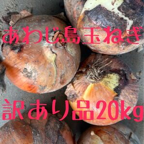 ③あわじ島玉ねぎ 訳あり品20kg!農家直送