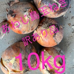 あわじ島玉ねぎ、訳あり品10kg!農家直送