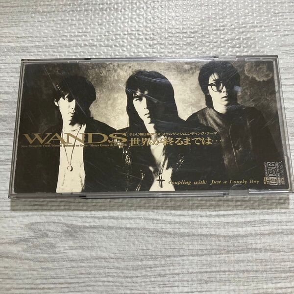 WANDS/世界が終るまでは…/Just 8cm CD