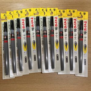 ぺんてる 筆 XFP5M 顔料インキ〈中字〉10本まとめ売り セット