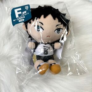 ぬいもっち 赤葦京治