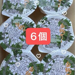 六花亭 白桃ゼリー 6個