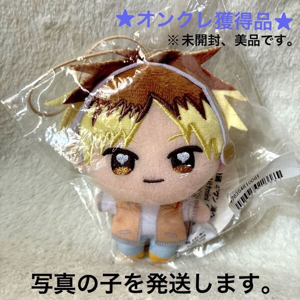 【オンクレ獲得、美品】映画 ギヴン 海へ ぬいぷりけmini 鹿島柊