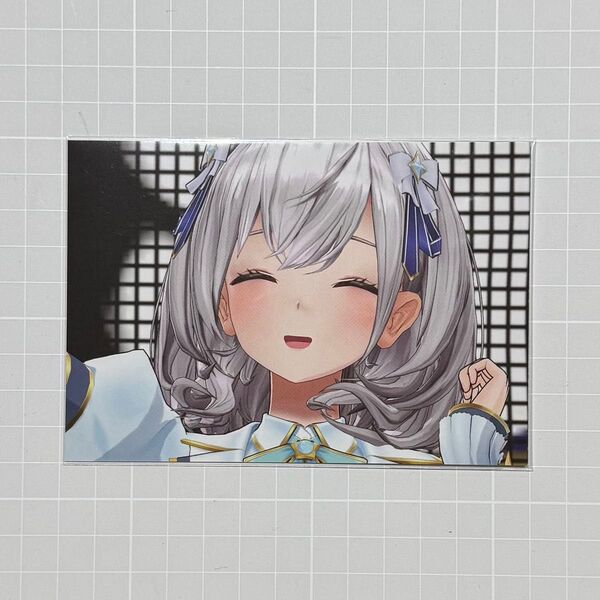 【クーポン消化】白銀ノエル ホロライブ EXPO 4th fes フェス Blu-ray購入特典 生写真