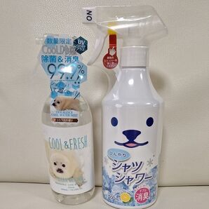 クリーンオリジナル フレグランスクールウォーターミスト (シトラス)とシャツシャワーのセット ひんやりシャツシャワー