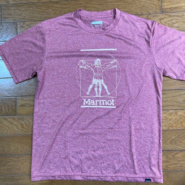 Marmot Tシャツ ヴィンテージ風プリント レッド系