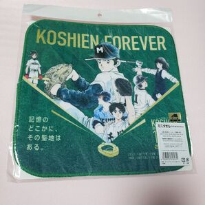 お値下げ♪ 1枚【数量増加可能】 甲子園 100周年 タッチ・H2・MIX ミニタオル