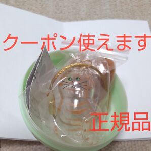 うちの子のけだまだま 茶トラ